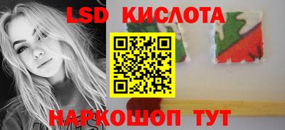 mdpv Заводоуковск