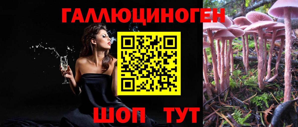 Галлюциногенные грибы GOLDEN TEACHER Кимовск