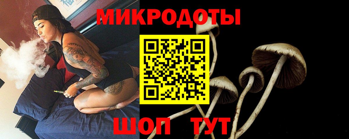 Кимовск  Псилоцибиновые грибы Cubensis  Вход с VPN 